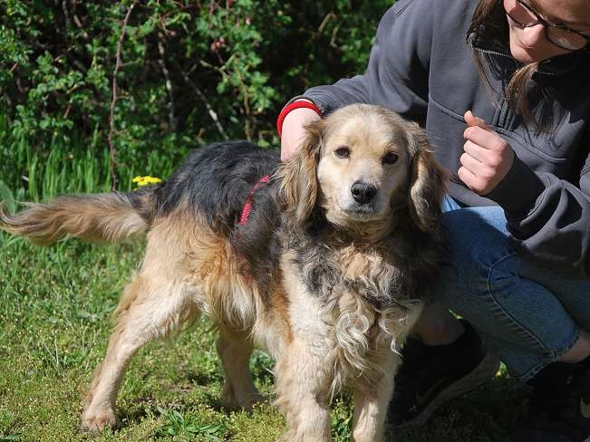 pfotenretterungarn Mbappé Apr-26 (5)