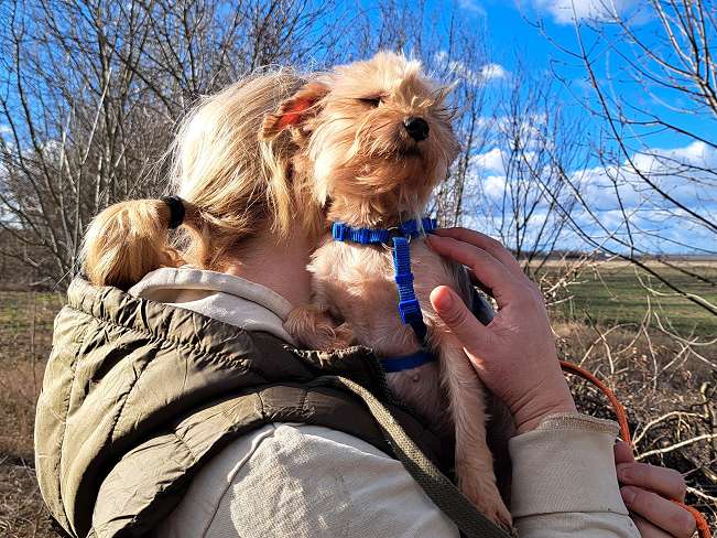 pfotenretterungarn Milli (10)