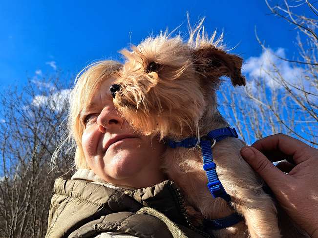 pfotenretterungarn Milli (7)