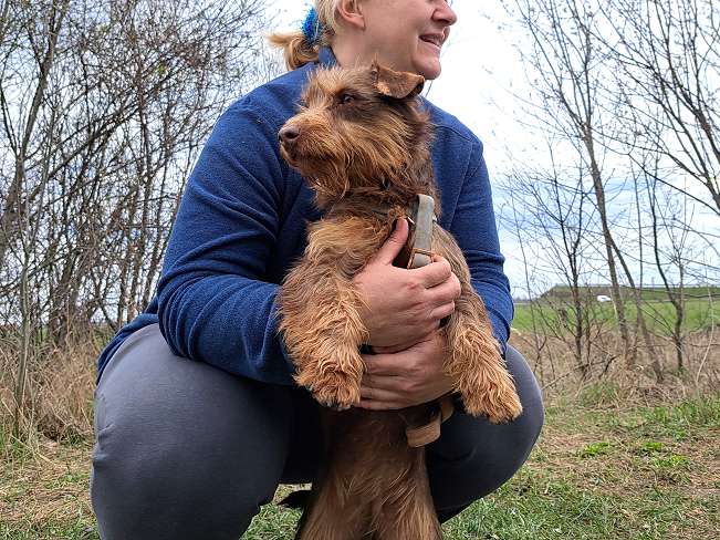 pfotenretterungarn Prada (4)