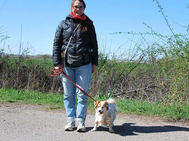 pfotenretterungarn Alizia (13)