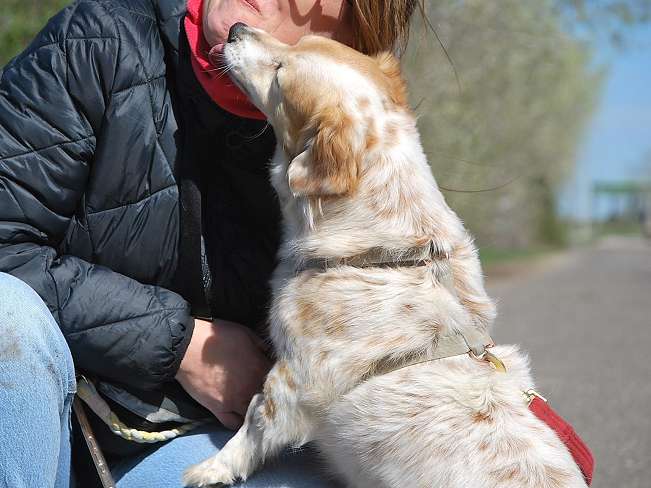 pfotenretterungarn Alizia (6)