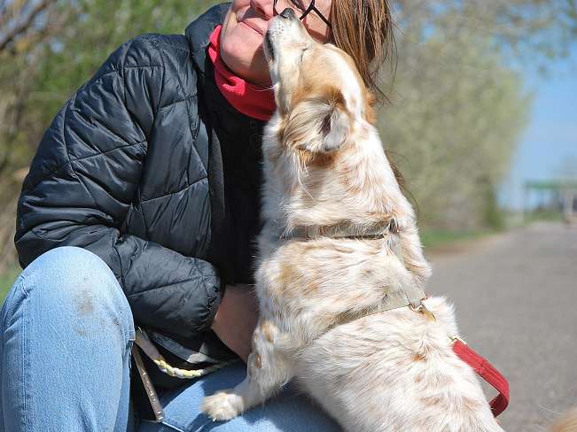 pfotenretterungarn Alizia (7)