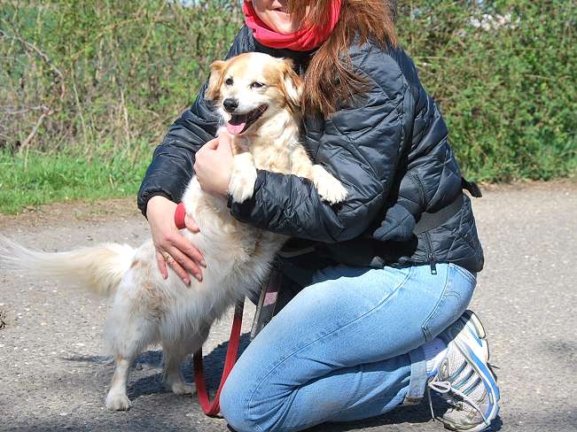 pfotenretterungarn Alizia (8)