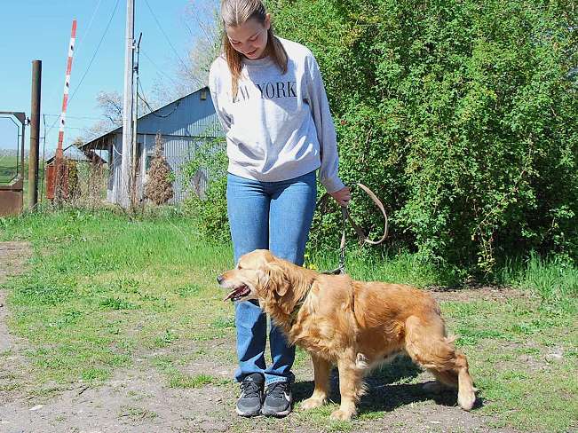 pfotenretterungarn Arita (13)