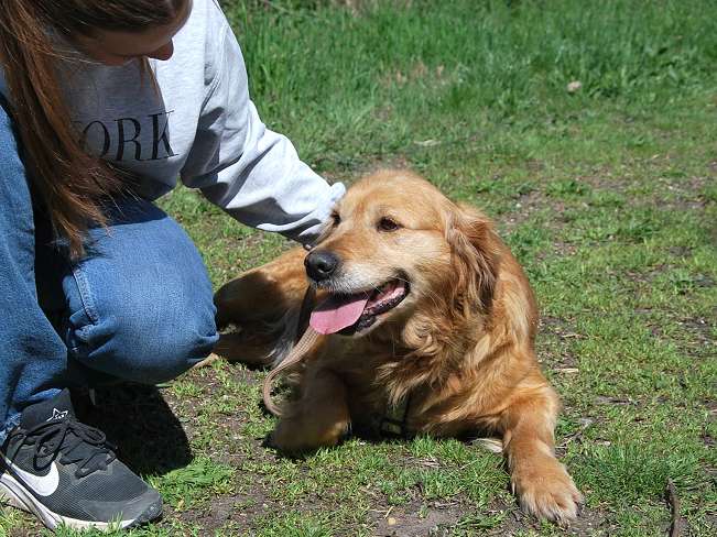 pfotenretterungarn Arita (18)