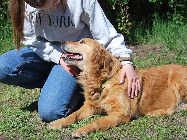 pfotenretterungarn Arita (5)