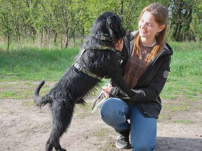 pfotenretterungarn Ferdinand (17)