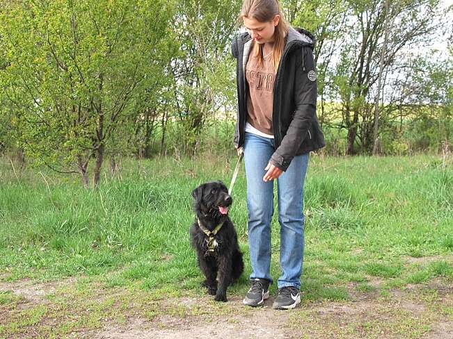 pfotenretterungarn Ferdinand (21)