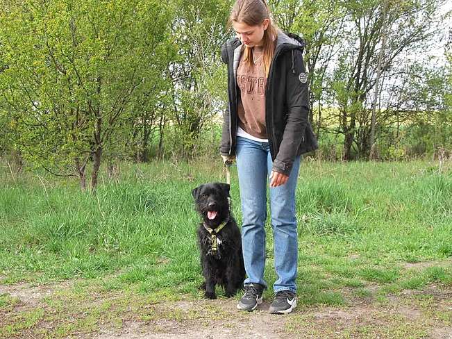 pfotenretterungarn Ferdinand (22)