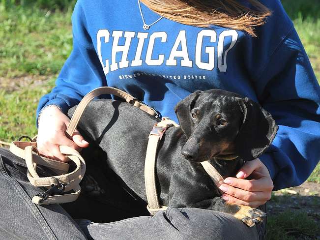 pfotenretterungarn Happy (2)