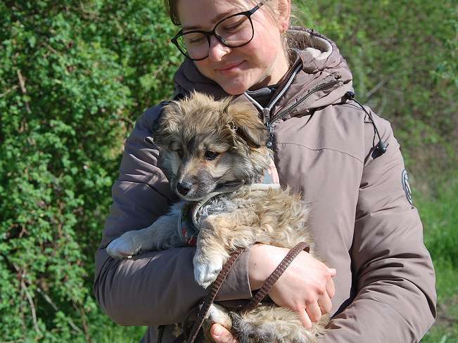 pfotenretterungarn Kling (12)