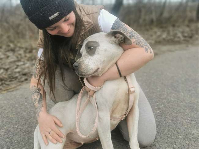 pfotenretterungarn Lady_Luz (10)