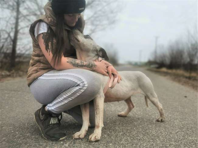 pfotenretterungarn Lady_Luz (14)