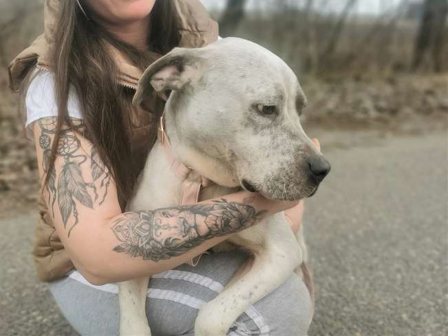 pfotenretterungarn Lady_Luz (17)