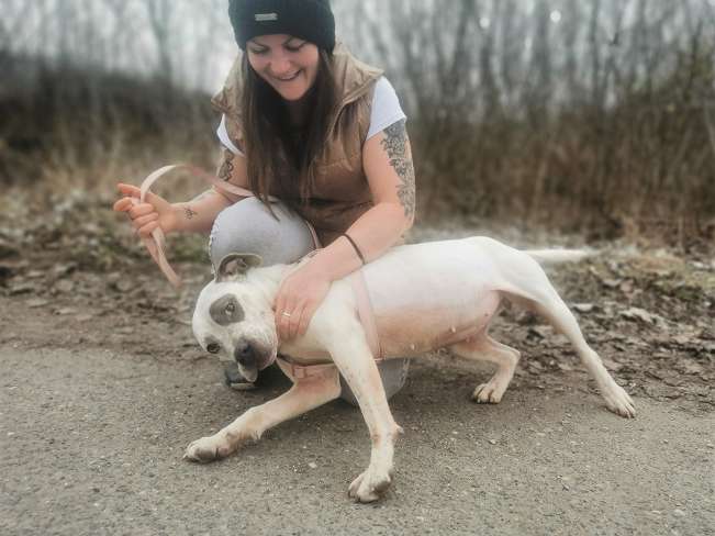 pfotenretterungarn Lady_Luz (3)