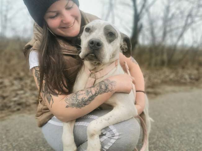 pfotenretterungarn Lady_Luz (9)