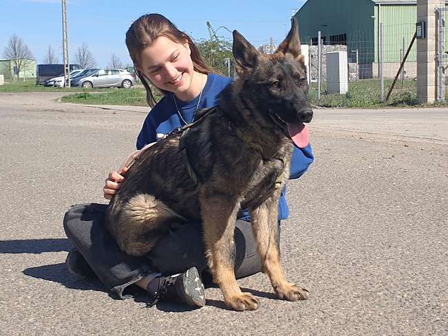 pfotenretterungarn Nairobi (11)