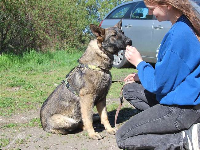 pfotenretterungarn Nairobi (4)