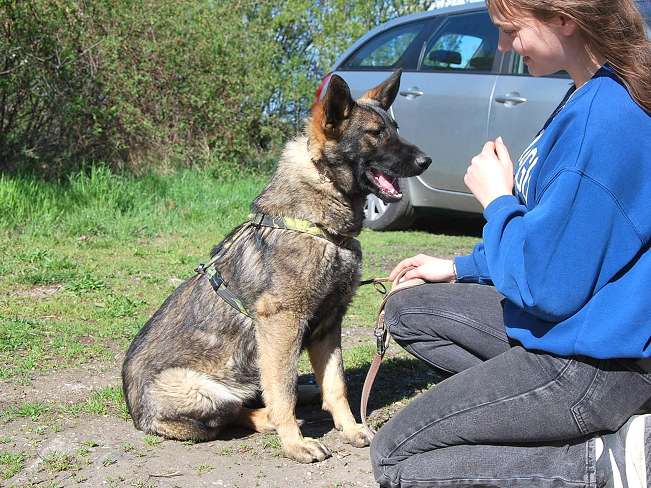 pfotenretterungarn Nairobi (5)