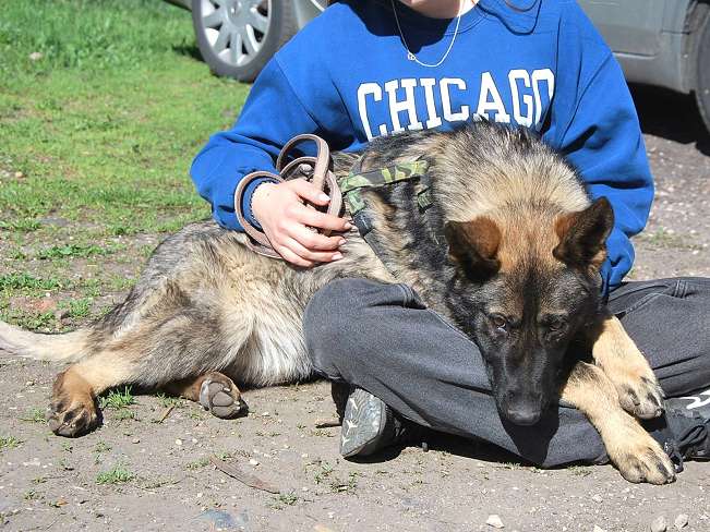 pfotenretterungarn Nairobi (8)