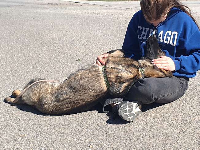 pfotenretterungarn Nairobi (9)