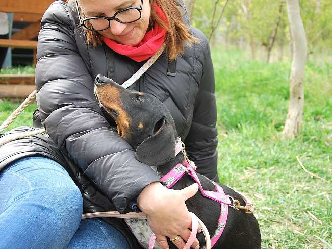 pfotenretterungarn Picurka (10)