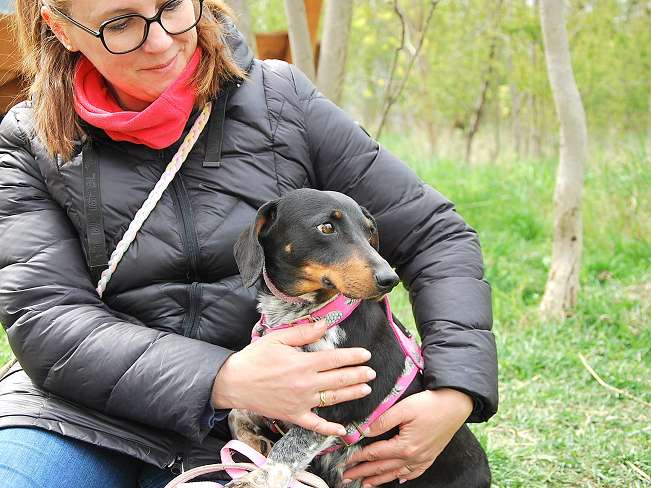 pfotenretterungarn Picurka (15)