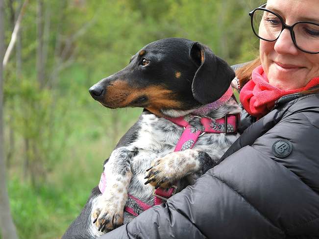 pfotenretterungarn Picurka (16)