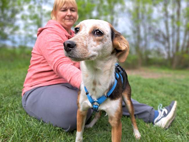 pfotenretterungarn Yukka (6)