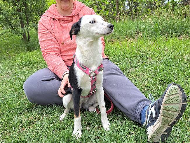 pfotenretterungarn Yunna (12)