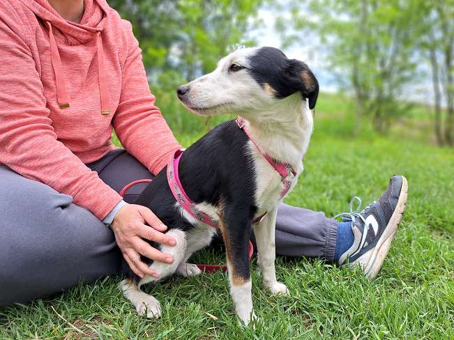 pfotenretterungarn Yunna (13)