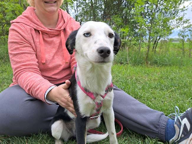 pfotenretterungarn Yunna (5)