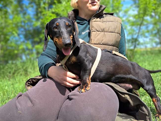 pfotenretterungarn Zozi (11)