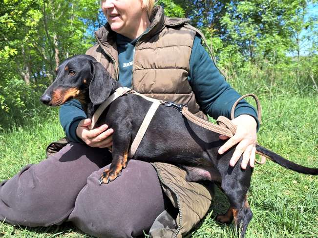 pfotenretterungarn Zozi (12)