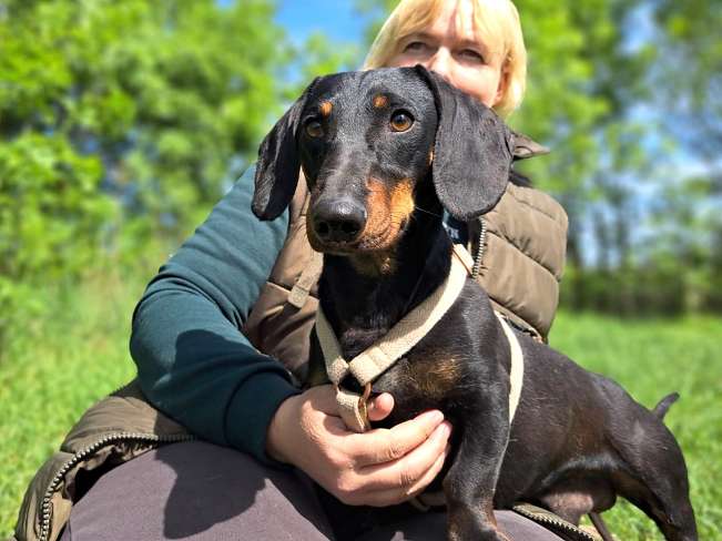 pfotenretterungarn Zozi (2)