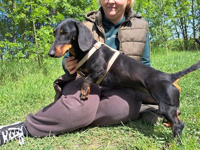 pfotenretterungarn Zozi (4)