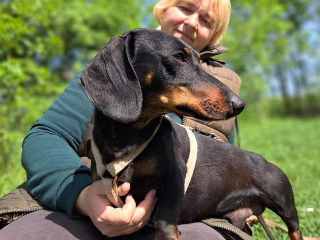 pfotenretterungarn Zozi (5)