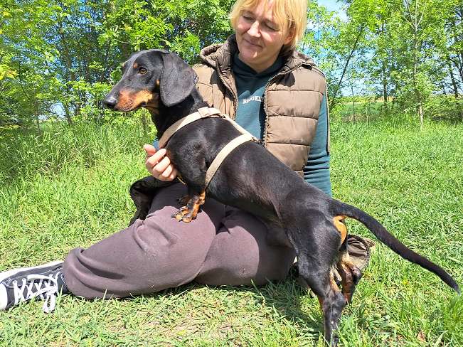 pfotenretterungarn Zozi (7)