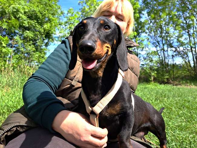 pfotenretterungarn Zozi (8)