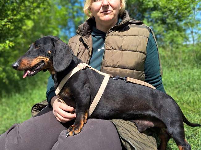 pfotenretterungarn Zozi (9)