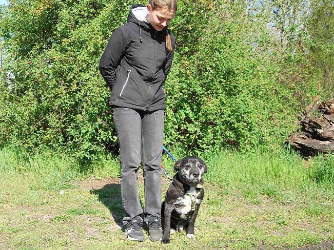 pfotenretterungarn Blacky (18)