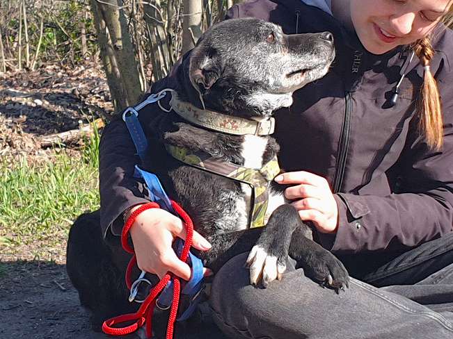 pfotenretterungarn Blacky (9)