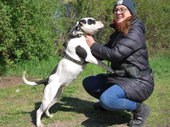 pfotenretterungarn Anastazia (13)
